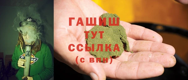 индика Гусиноозёрск