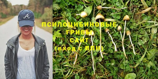 хмурый Алзамай