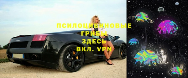 гидра Алексеевка