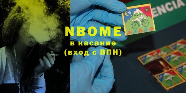 хмурый Алзамай