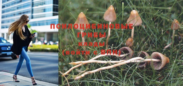 кристаллы Алексин